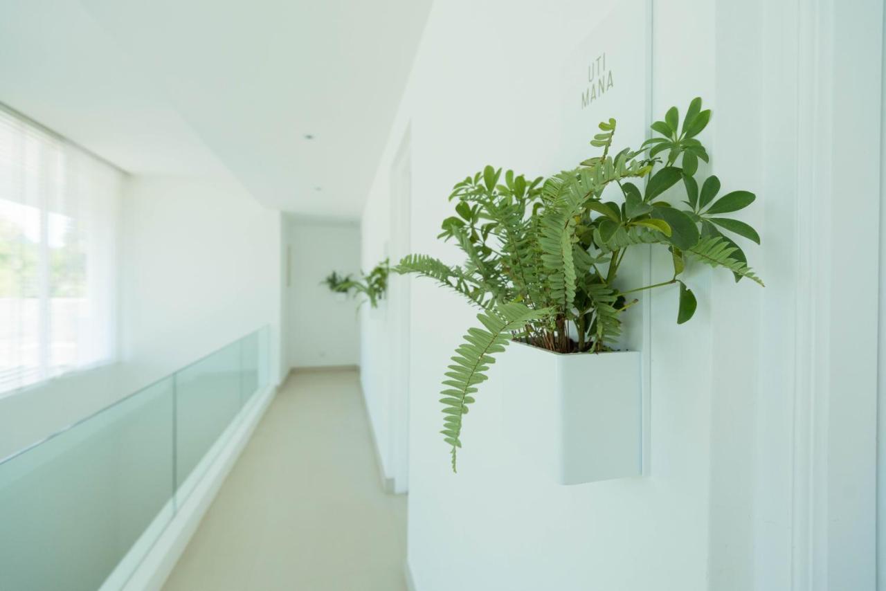 Cove 55 Santubong Exterior foto